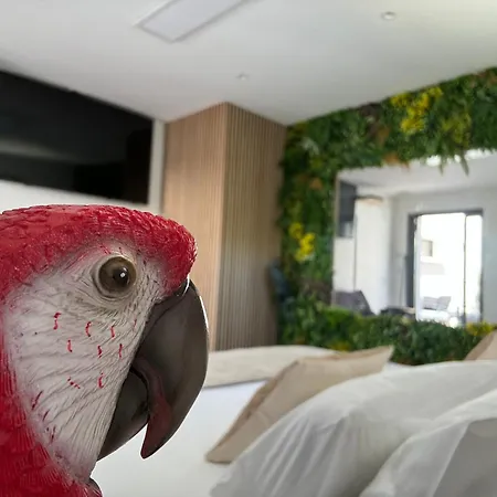 Bed & Breakfast Reve D Amazonie & Standard